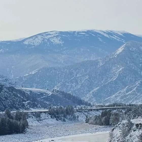 купол
