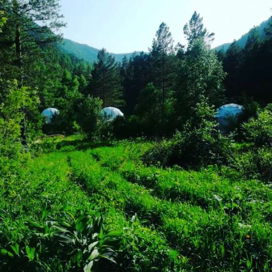 купол