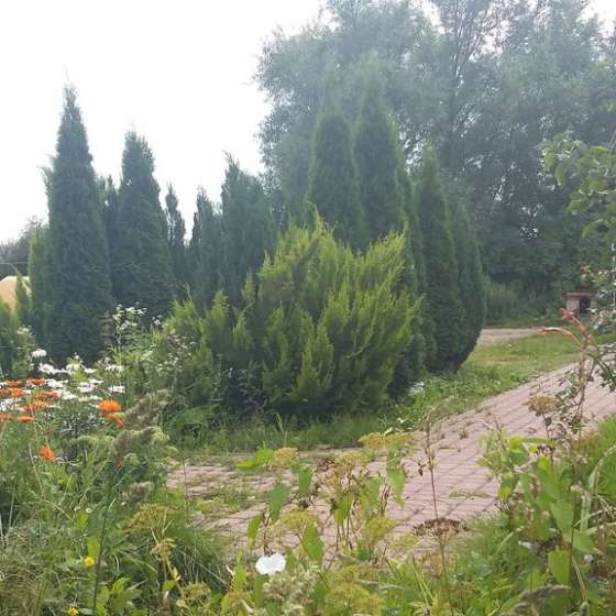 Частный дом