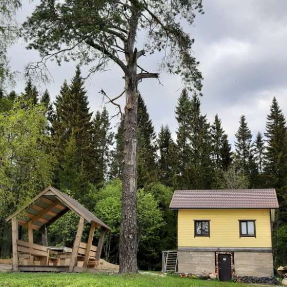 Частный дом