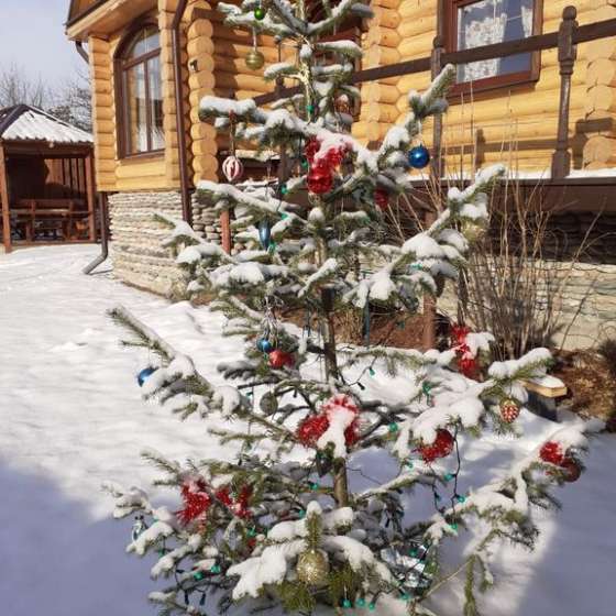 Частный дом
