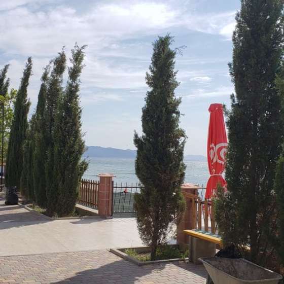 Эллинг
