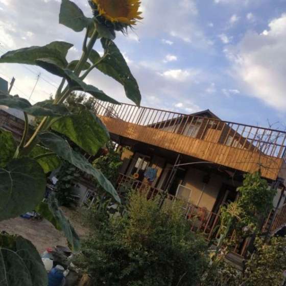 Дача