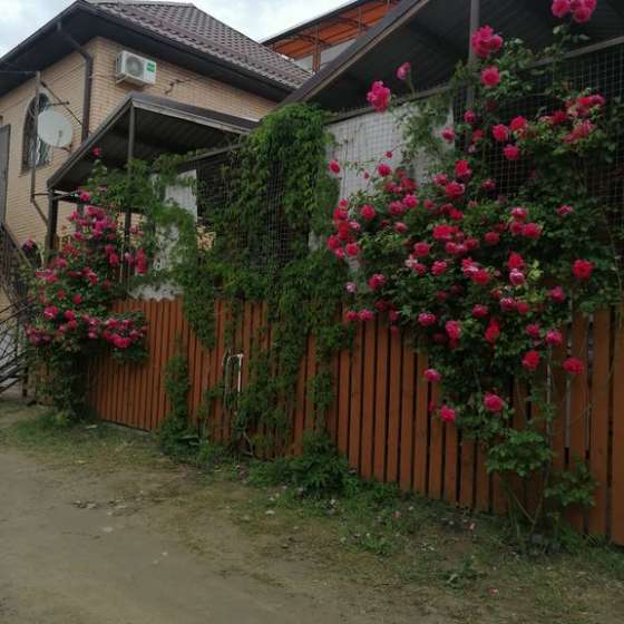 Дача