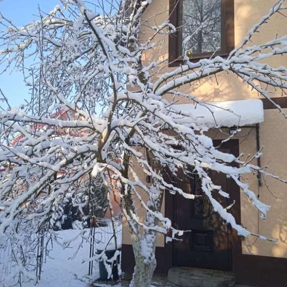 Частный дом