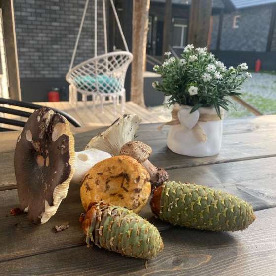 Частный дом