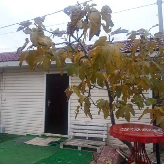 Частный дом