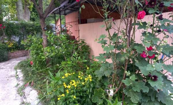 Гагра, гостевой дом «Tamara»