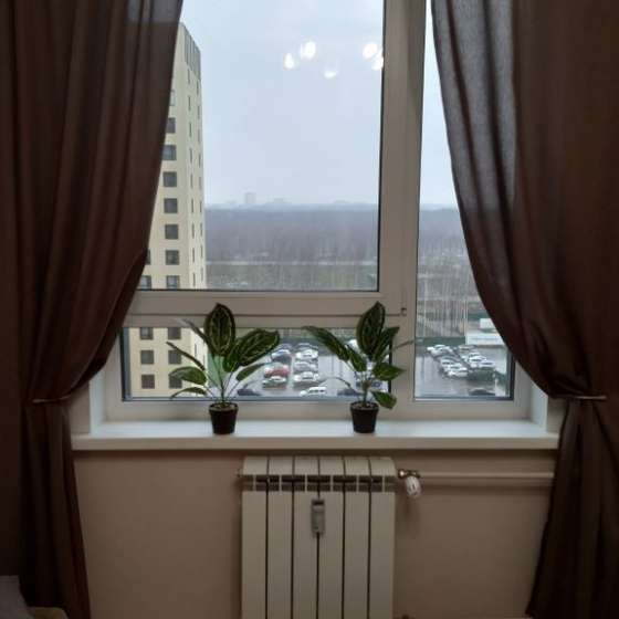Студия
