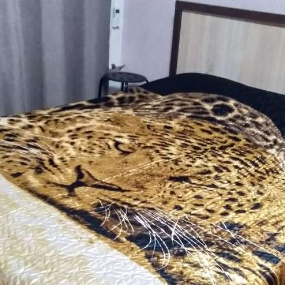 Студия
