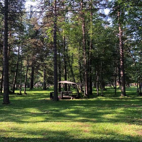 База отдыха Архыз ЭКО Forest