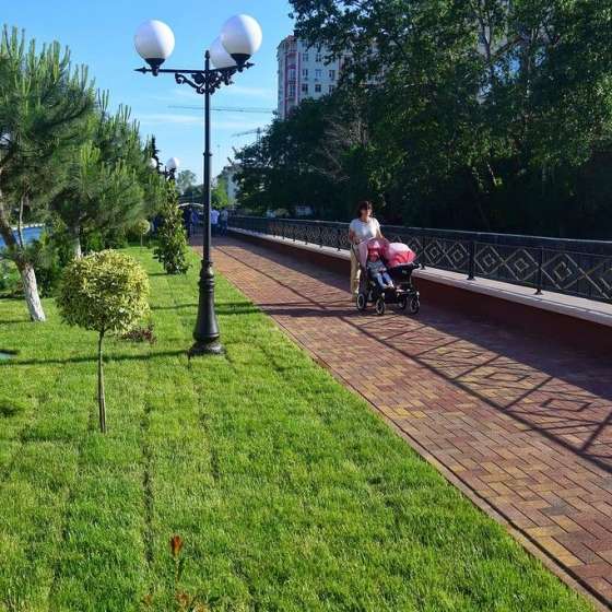 Студия
