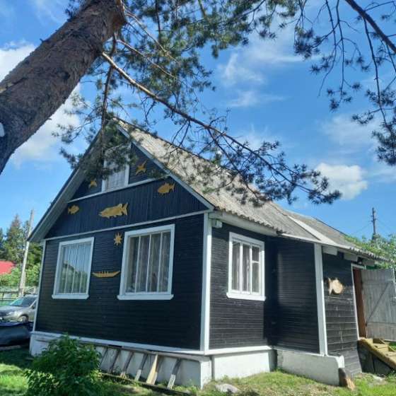 Деревенский дом