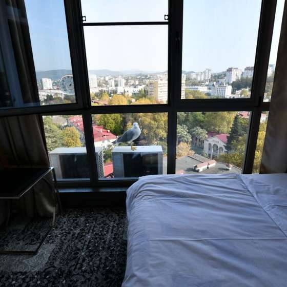 Комната в квартире