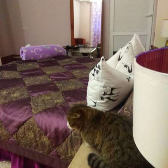 Комната в коттедже