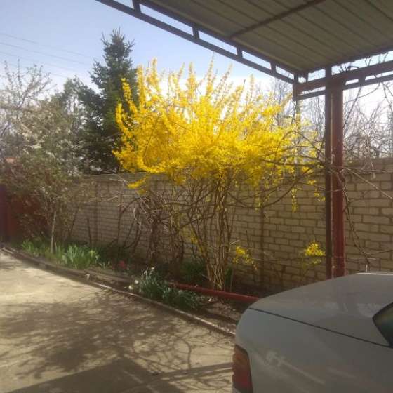 Комната в коттедже