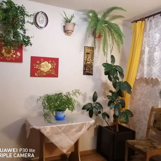 Комната в квартире