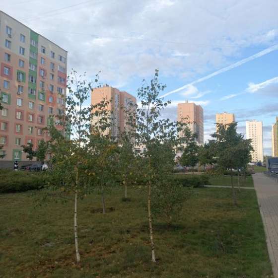 1-комнатная квартира