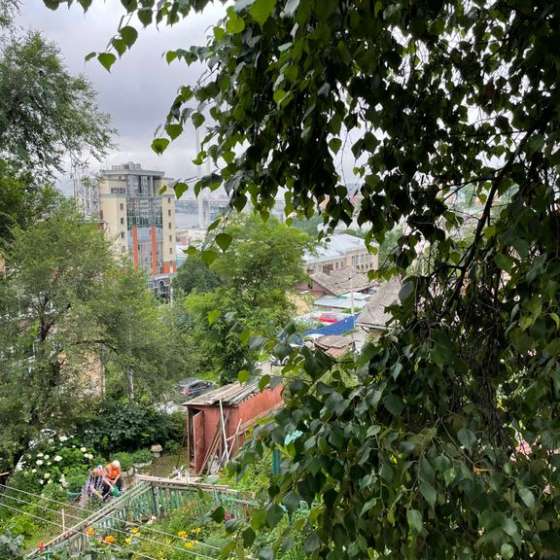 Комната в квартире