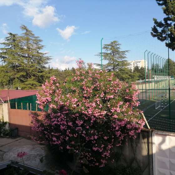 Комната