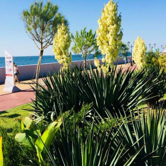 Комната