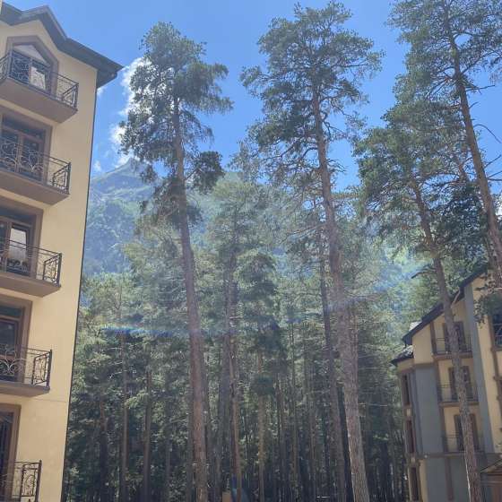 Eco Village