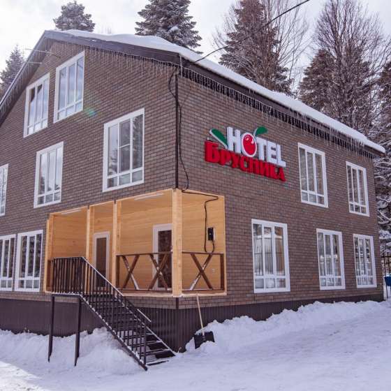 Брусника