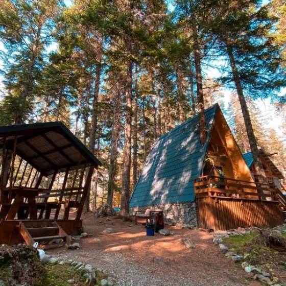 База отдыха «Elki house»