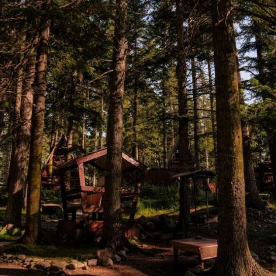 База отдыха «Elki house»
