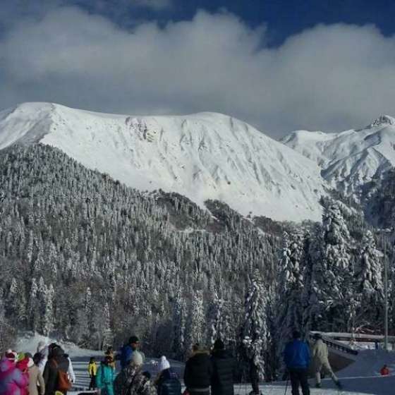 «Афина»