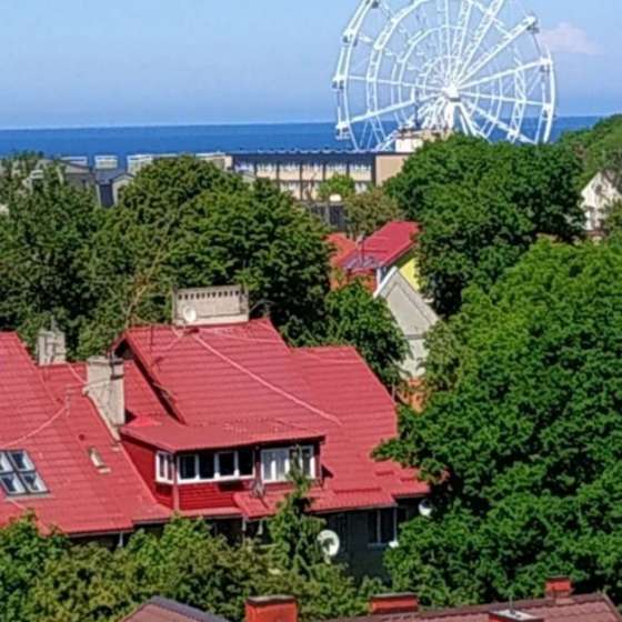 1-комнатная квартира