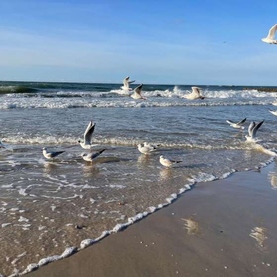 Апартамент