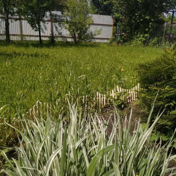 Коттедж