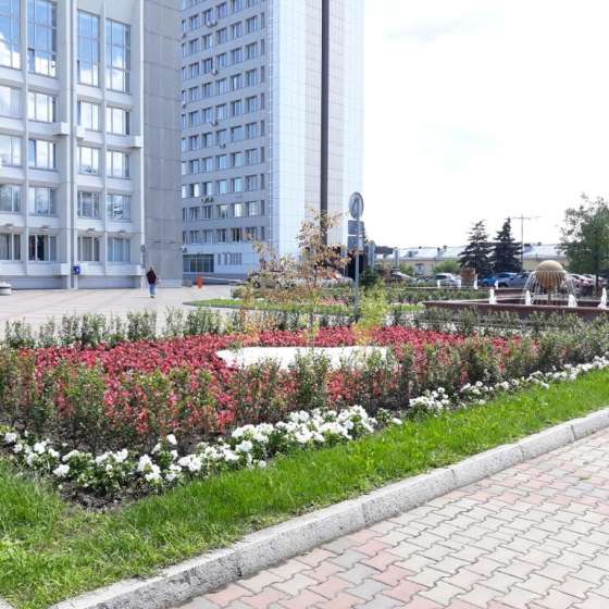 3-комнатная квартира