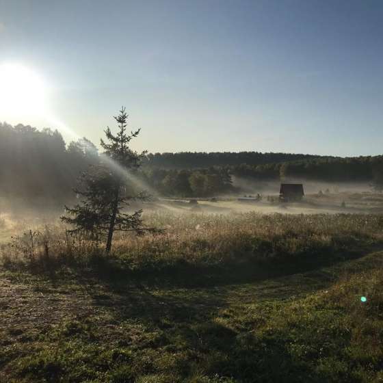 Деревенский дом