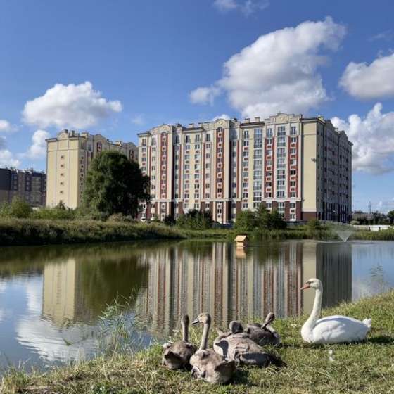 1-комнатная квартира