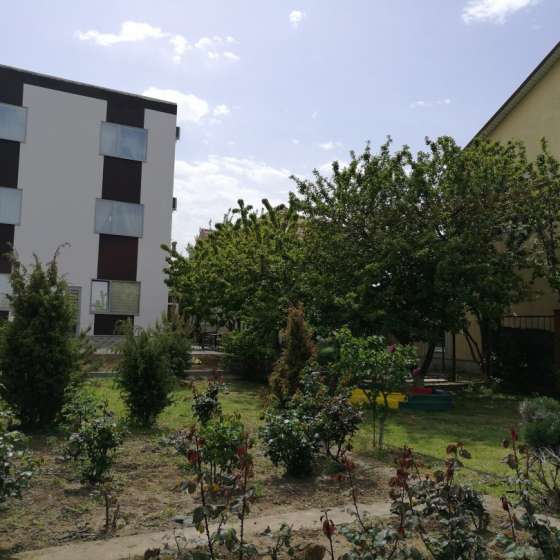 Кострома