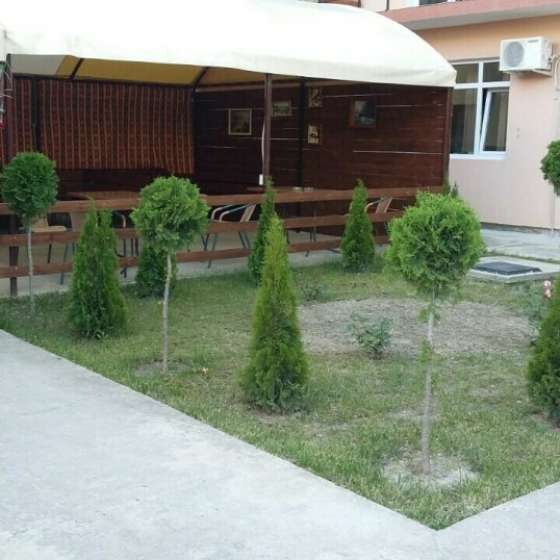 «Мускат»