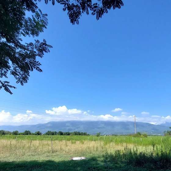 Гостевой дом «Амели»