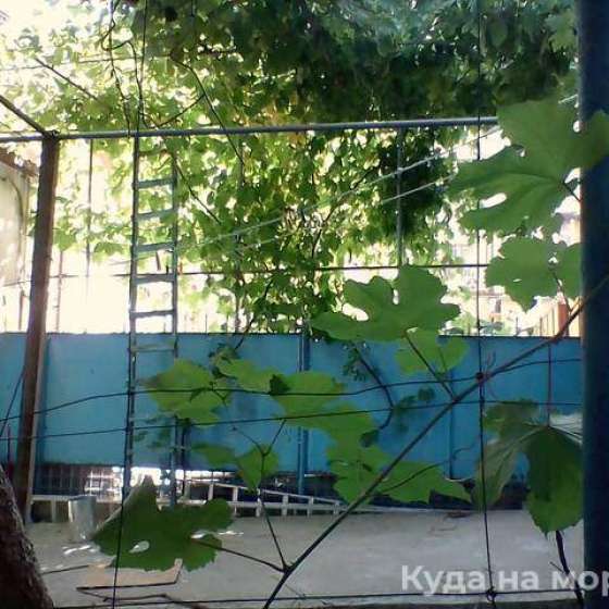 Частный сектор «Старые сказки»