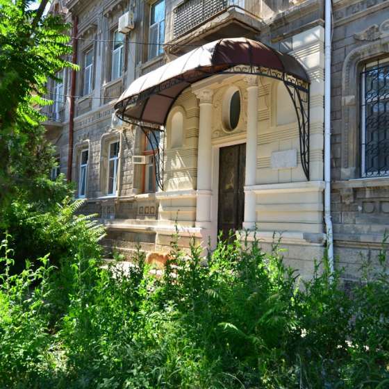 DaLaMaR