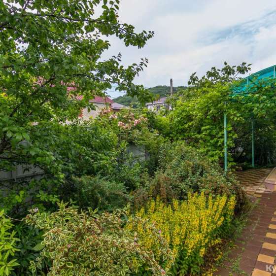 «Green House»