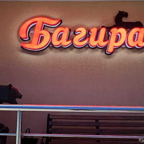 «Багира»