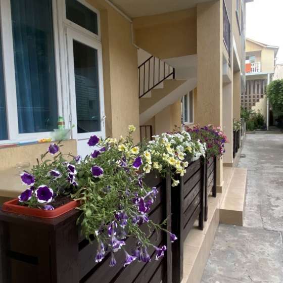 «Арти»