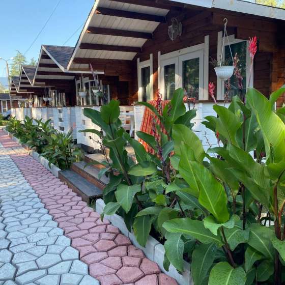 База отдыха «Eco House Pitiunt»