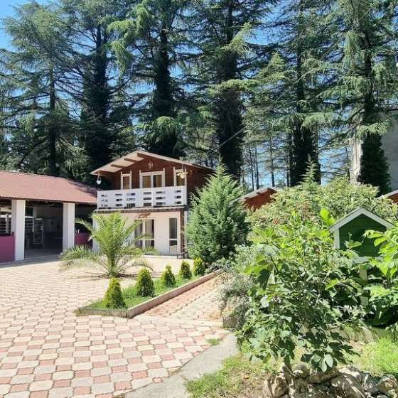 База отдыха «Eco House Pitiunt»