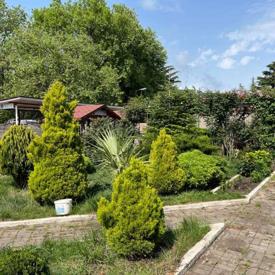 «Амар»