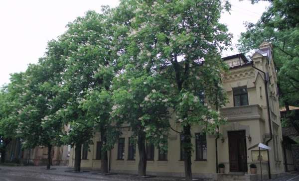 Железноводск, отель Княжна Мери