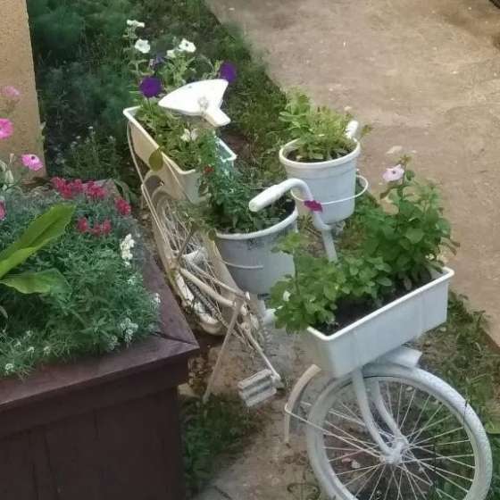 «Элефант»