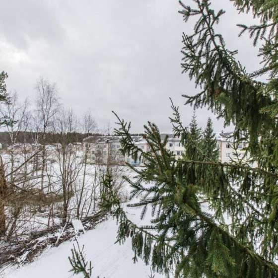 В Хаапалампи